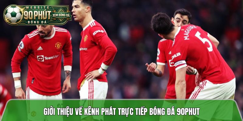 Giới thiệu kênh trực tiếp bóng đá 90 phút